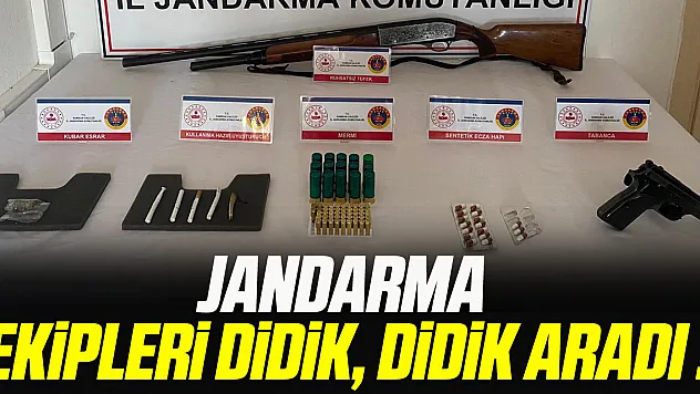 JANDARMA EKİPLERİ DİDİK, DİDİK ARADI !