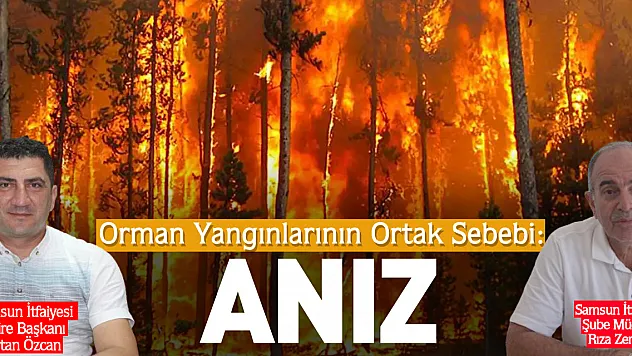 Orman Yangınlarının Ortak Sebebi: Anız
