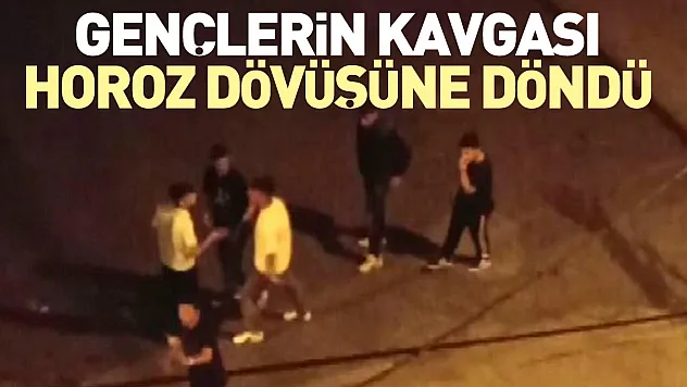 GENÇLERİN KAVGASI HOROZ DÖVÜŞÜNE DÖNDÜ