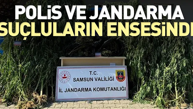 Bin 261 aranan şahıs yakalandı, 200 ruhsatsız tabanca ele geçirildi