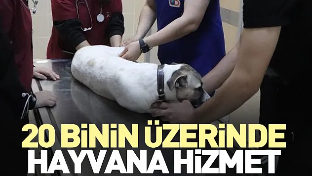 20 binin üzerinde hayvana hizmet