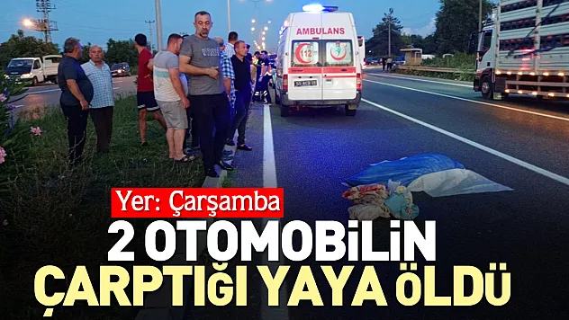 2 otomobilin çarptığı yaya öldü