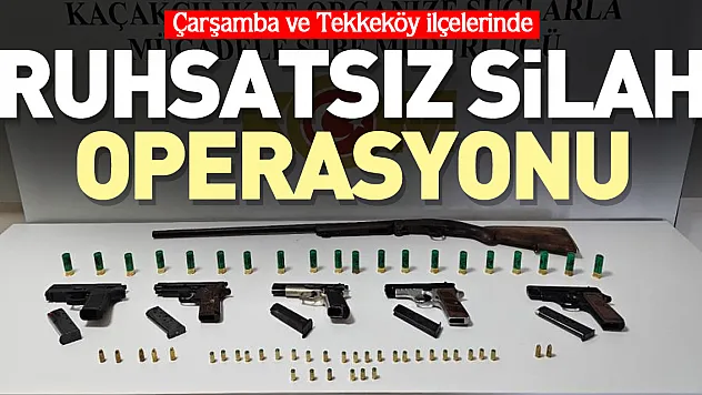 Samsun'da silah operasyonu