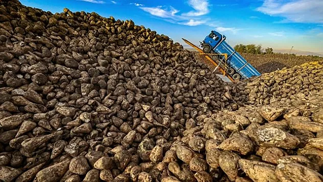 Şeker pancarında sözleşmeli üretim istikrarlı gelir sağlıyor
