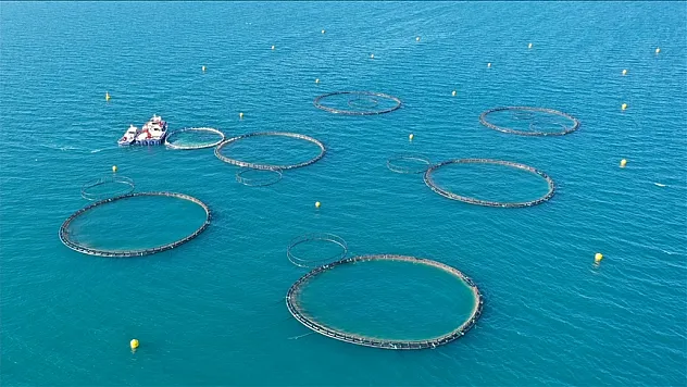 Su ürünleri yetiştiriciliğinde düzenlemeye gidildi