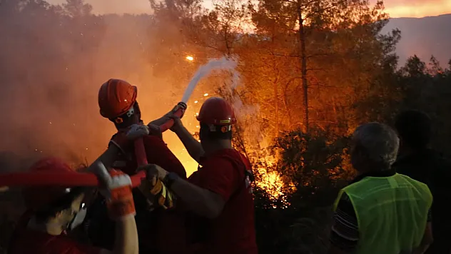 'Muğla'daki yangınlar kısmen kontrol altında'