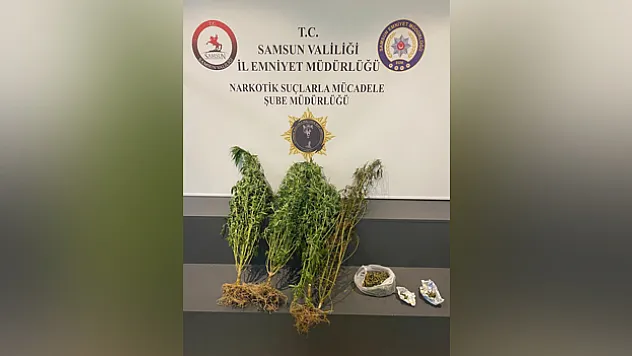 Evinde kubar esrar ele geçirildi