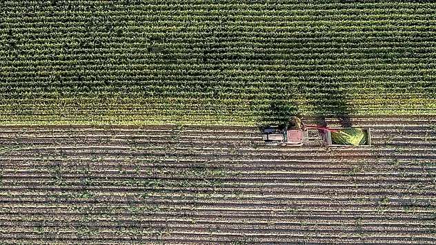 Üreticilerin pazarlama sorunu çözülecek