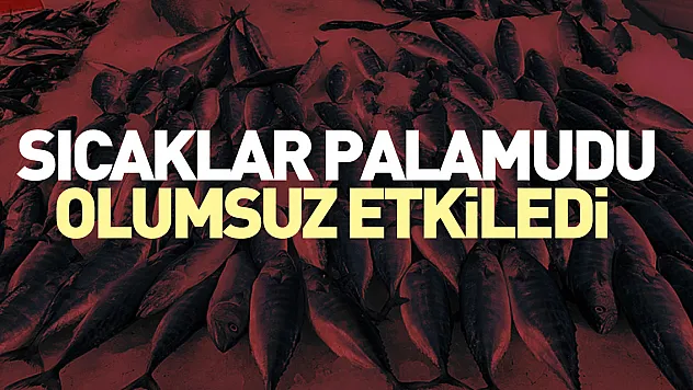 SICAKLAR PALAMUDU OLUMSUZ ETKİLEDİ