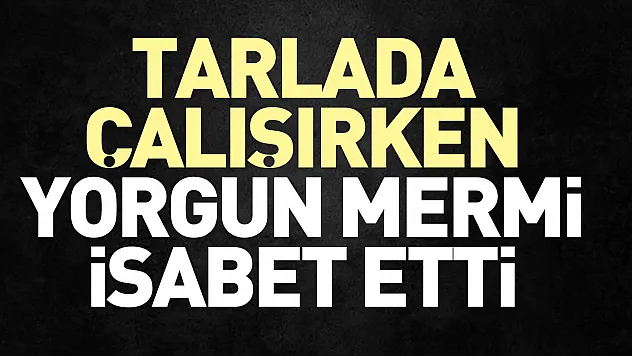 TARLADA ÇALIŞIRKEN YORGUN MERMİ İSABET ETTİ