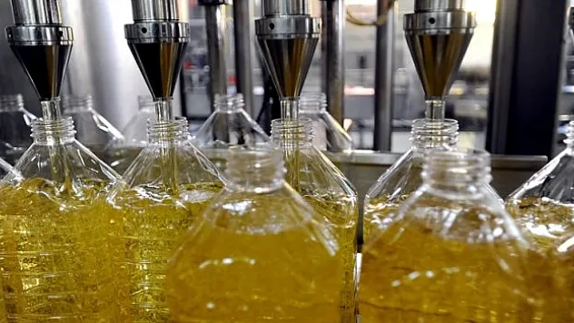 7 ayda 294 milyon dolarlık ihracat