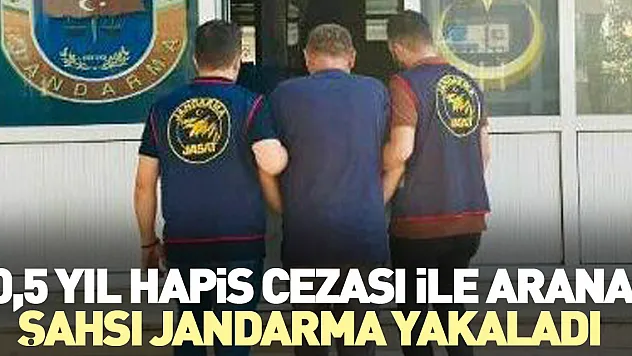 10,5 yıl hapis cezası ile aranan şahsı jandarma yakaladı