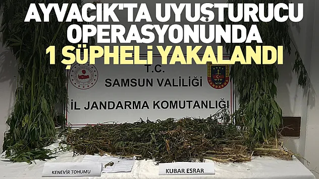 Ayvacık'ta uyuşturucu operasyonunda 1 şüpheli yakalandı