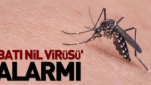 'Batı Nil virüsü' alarmı