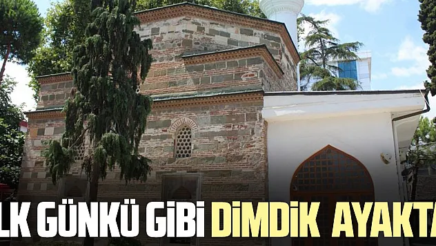 İLK GÜNKÜ GİBİ DİMDİK  AYAKTA