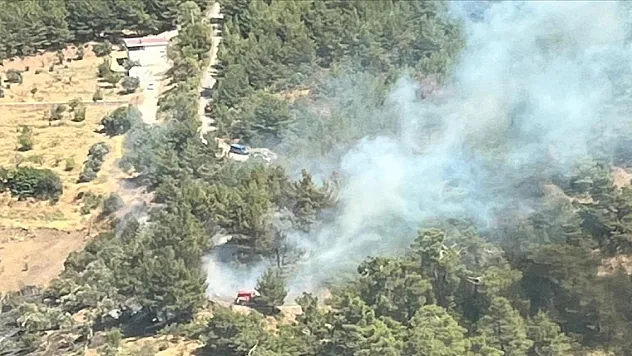İzmir Kemalpaşa'da çıkan orman yangını kontrol altına alındı