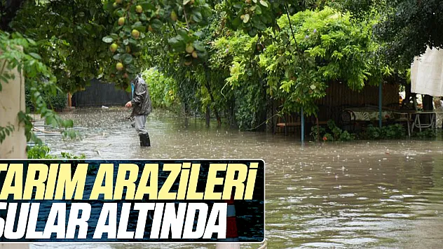 Tarım arazileri sular altında