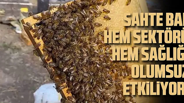 Sahte bal hem sağlığı hem de sektörü olumsuz etkiliyor