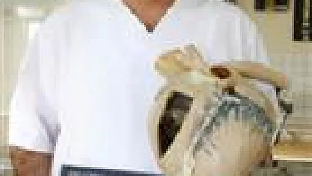 İnsan ve Hayvan Kadavraları Plastiğe Dönüştürülüyor