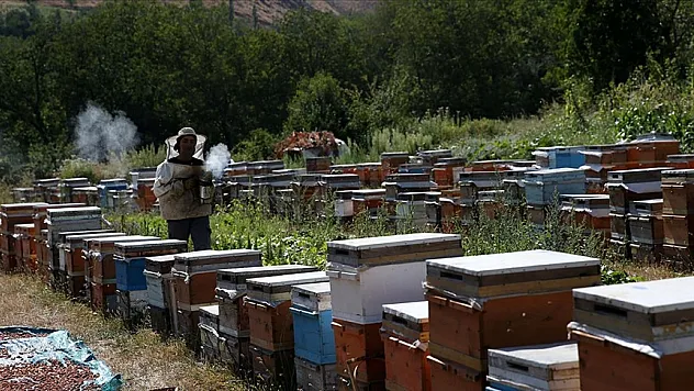 Bitlis'te bal hasadı yüksek verimle başladı