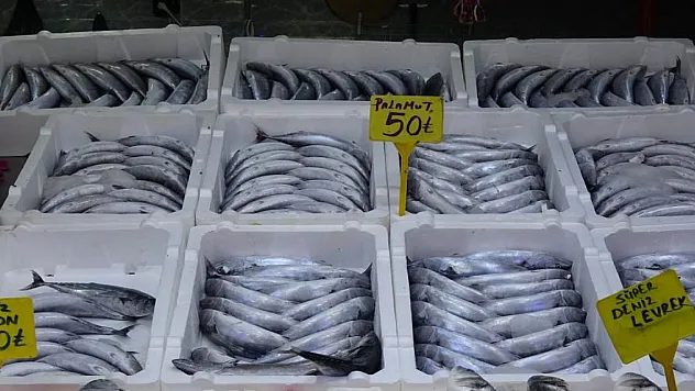 Karadeniz'de palamut bereketi: Tanesi 50 TL