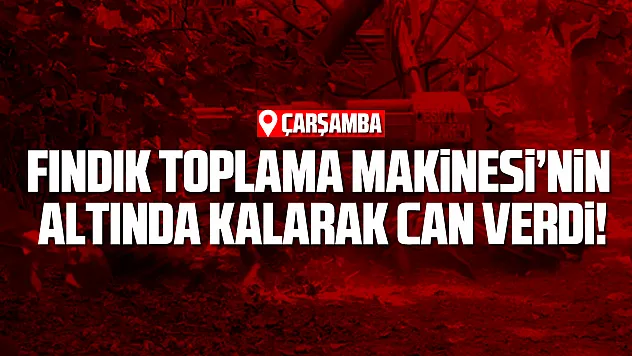 Samsun'da fındık toplama makinesinin altında kalan kişi öldü