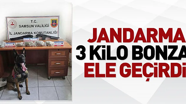 jandarma 3 kilo bonzai ele geçirdi