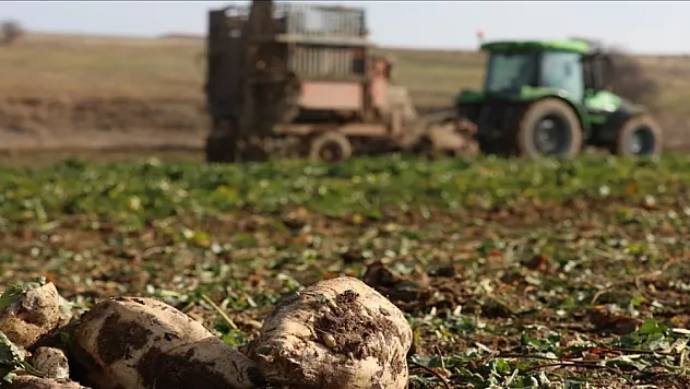 Türkşeker'in yeni sezondaki hedefi 950 bin ton