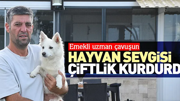 HAYVAN SEVGİSİ ÇİFTLİK KURDURDU