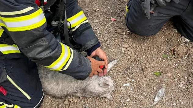 İtfaiye seferber oldu