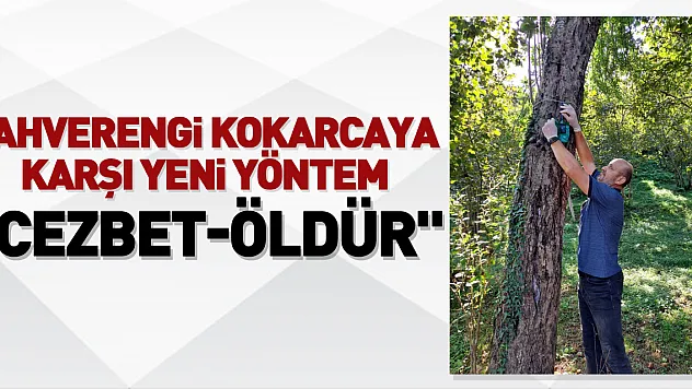 Kahverengi kokarcaya karşı yeni yöntem