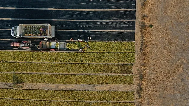 10 soruda işlenmeyen tarım arazilerinin kiraya verilmesi
