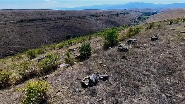 'Badem ormanı' erozyonu önledi, köylüye ek gelir sağladı