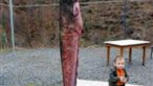 Ayvacık'ta 2.5 Metrelik Yayın Balığı Yakalandı