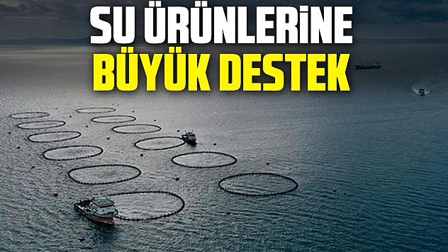 Su ürünlerine büyük destek