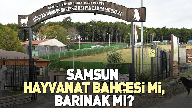 SAMSUN HAYVANAT BAHÇESİ Mİ, BARINAK MI?
