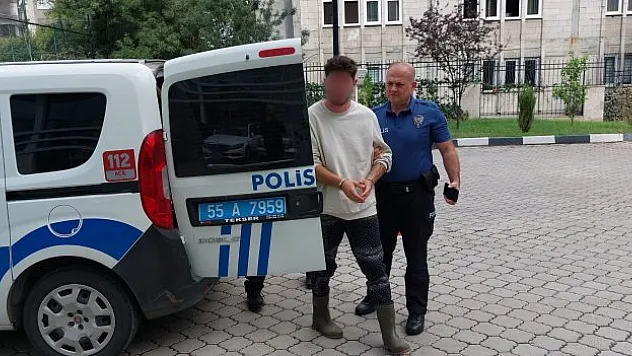 Fındık hırsızlığından tutuklandı