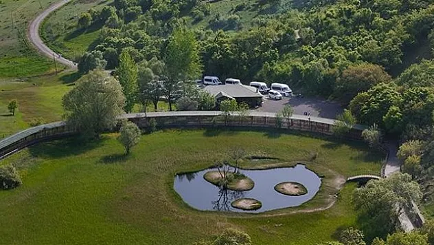 8 ayda 39 milyon kişi ziyaret etti