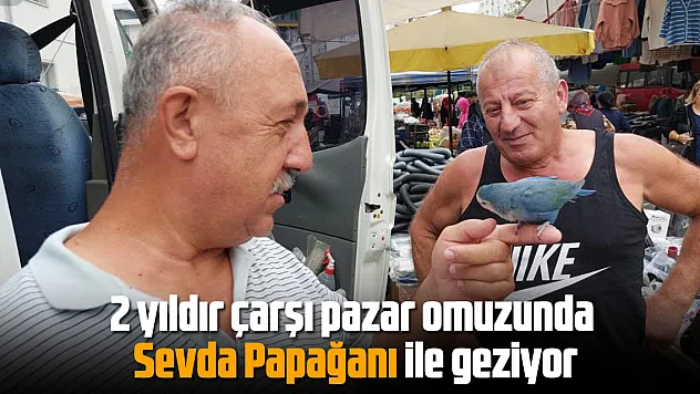 2 yıldır çarşı pazar omuzunda Sevda Papağanı ile geziyor