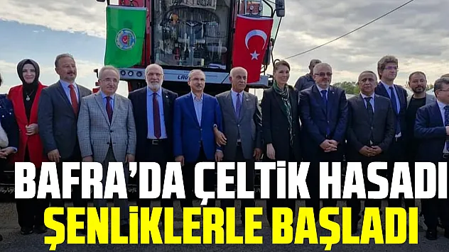 Bafra'da Çeltik Hasadı Şenliklerle Başladı