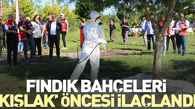 FINDIK BAHÇELERİ 'KIŞLAK' ÖNCESİ İLAÇLANDI