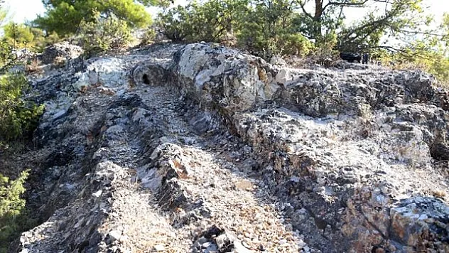 21 milyon yıllık ağaç fosilleri, ziyarete açılacak