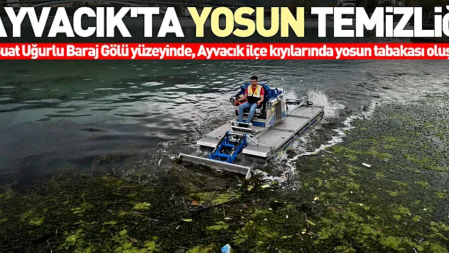 Ayvacık'ta yosun temizliği