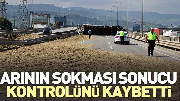 Arının sokması sonucu kontrolünü kaybetti