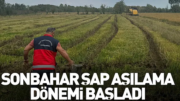 Sonbahar şap aşılama dönemi başladı