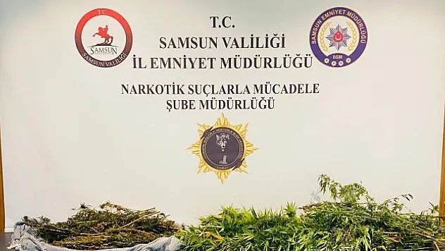 Esrar ve kokain ele geçirildi