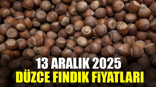 13 Aralık Düzce Fındık Fiyatları