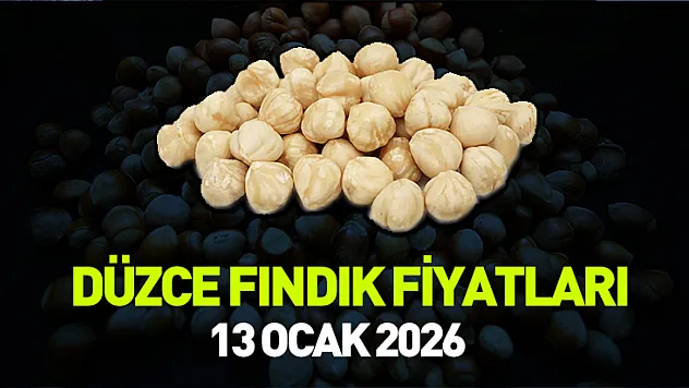 13 Ocak 2026 Düzce'de Fındık Fiyatları