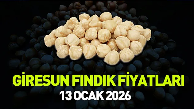 13 Ocak 2026 Giresun'da Fındık Fiyatları