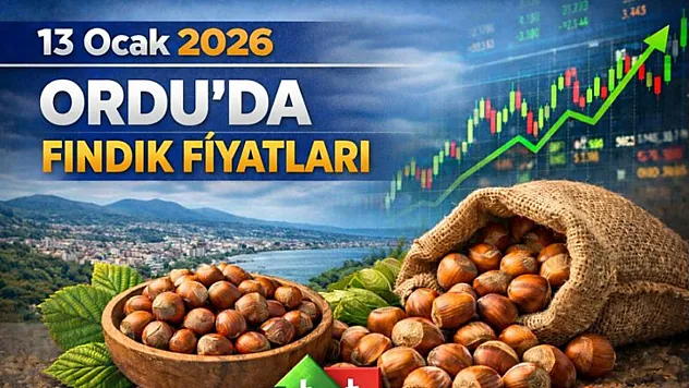 13 Ocak 2026 Ordu'da Fındık Fiyatları